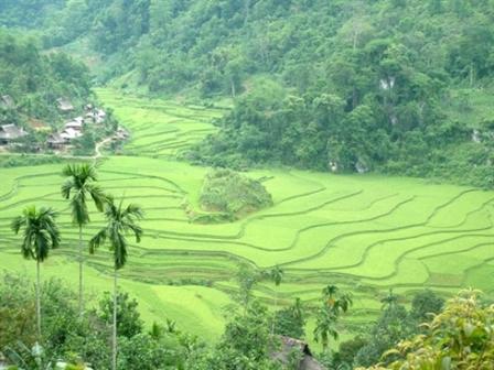 Le homestay façon Thai dans la Réserve de Pù Luông